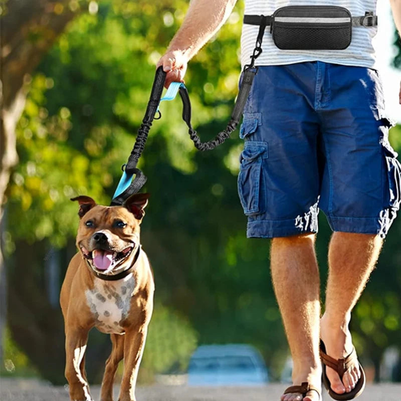 Hands-Free Dog Leash with waist bag - Perfect for any seasons Walks