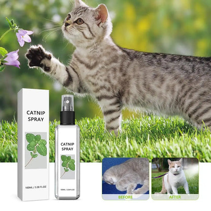 CalmCats Herbal Tranquility Mist