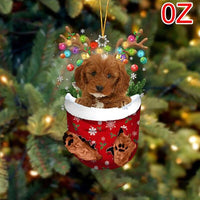 OZ-Red Cockapoo