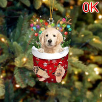 OK-Golden Retriever