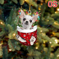 OS-White Chihuahua