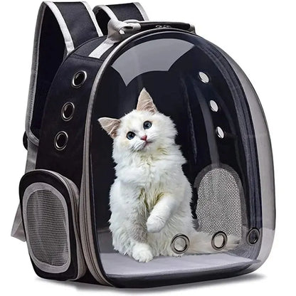 KittyKruise CapsuleCarrier