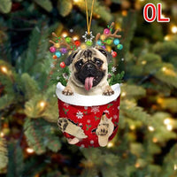 OL-Fawn Pug-L